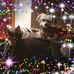 Profile Picture of Nancy Vogt (@nancy.vogt.169) on Facebook
