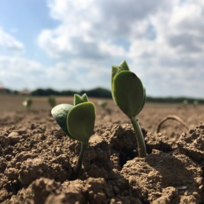 Profile Picture of Nick Otten (@NickOtten24) on Twitter