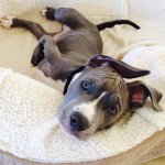 Profile Picture of Lori Lee (@brogansheroes) on Instagram