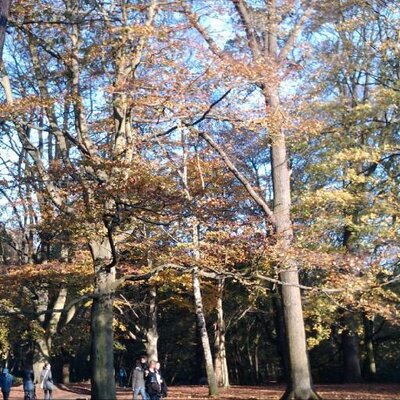 Profile Picture of Steve Bowden (@stevejbowden) on Twitter