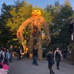 Profile Picture of Chris Malley (@cj_malley1972) on Instagram