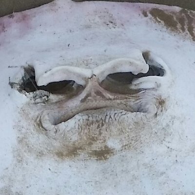 Profile Picture of Jim Ablett (@planethappines1) on Twitter