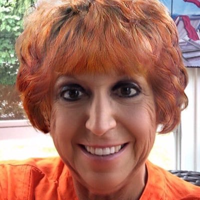 Profile Picture of Diane DeSalvo (@DianeDeSalvo5) on Twitter