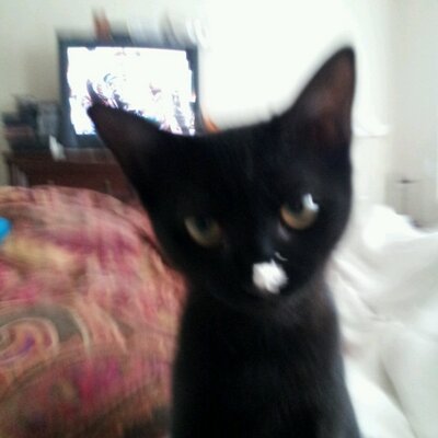 Profile Picture of Michael Hinkson, Jr. (@Wjack539) on Twitter