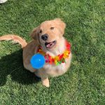 Profile Picture of Mark Logsdon (@mlogs60) on Instagram