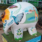 Profile Picture of Malcolm Watts (@malcolmwatts2487) on Youtube