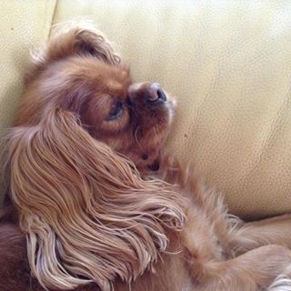 Profile Picture of Claudette Philip (@Claudette-Philip) on Facebook