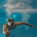 Profile Picture of Adam Korytkowski (@adamkorytkowski) on Instagram