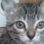 Profile Picture of Alex Enamorado (@alex09112006) on Instagram