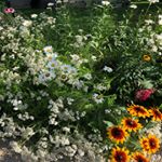 Profile Picture of Hazel Wright (@hazelwright152018) on Instagram