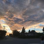 Profile Picture of •shelly• (@shelly.zhao.581) on Instagram