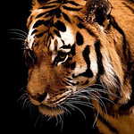 Profile Picture of Park Brian (@antispamdo) on Flickr