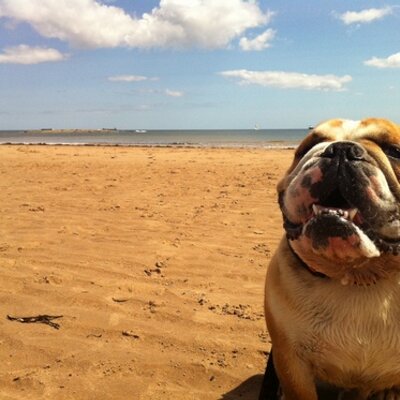 Profile Picture of Lisa Tate (@lisatate5) on Twitter