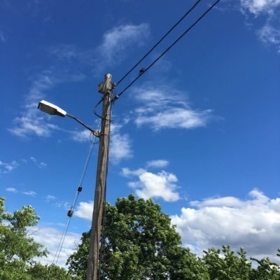 Profile Picture of That Guy (@Tyrone44121448) on Twitter