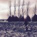 Profile Picture of Chad Christianson (@chad516c) on Pinterest