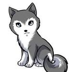 Autumn Wolf Edits 🥀 - Instagram Profile Picture of Autumn Wolf Edits 🥀 (@autumn.x.wolf) on Instagram