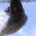 Profile Picture of Jonathan Doyle (@jojotupelo) on Pinterest