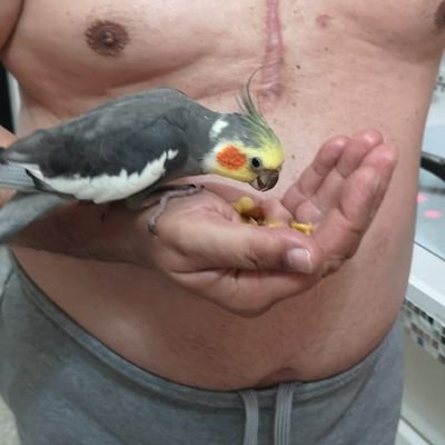 Profile Picture of Jorge Pino Robaina (@PinoRobaina) on Twitter