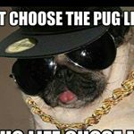 Profile Picture of kylekilburn (@1738kylebutt) on Instagram