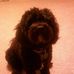 Profile Picture of Bentley Manning (@bentley.manning.1) on Facebook