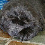 Steve Dakin - Instagram Profile Picture of Steve Dakin (@stevedakin50) on Instagram