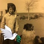 Profile Picture of Nancy Ann Dobson (@dobsonnancyann) on Instagram