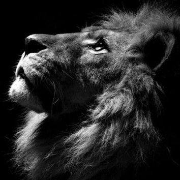 Profile Picture of Andy Garcia Oropeza (@call_me_daddy27) on Twitter