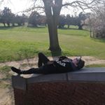 Profile Picture of Danny Paulsen (@paulsen.ruby) on Instagram