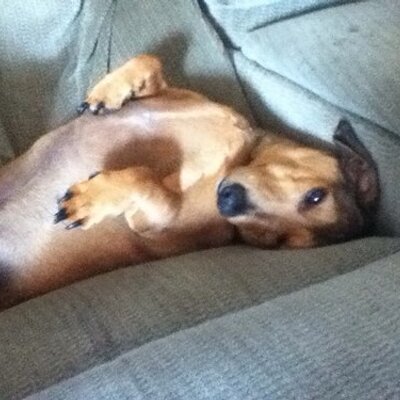 Profile Picture of Mike Bradfield (@m1k352) on Twitter