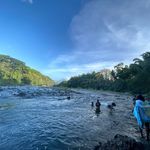 Profile Picture of Collette Grant (@collette.grant.1232) on Instagram