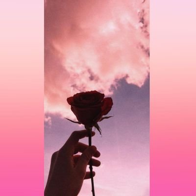Profile Picture of Reshma Mohammed (@ReshmaMohamme17) on Twitter