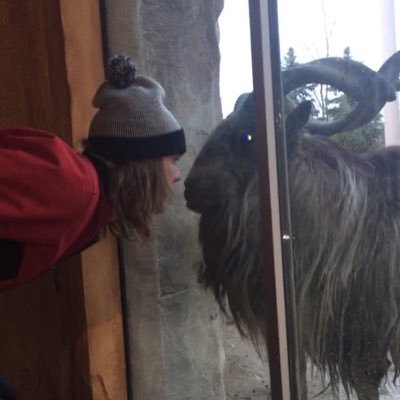 Profile Picture of Tim Boyd (@timboyd123) on Twitter