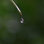 Profile Picture of Sebastian Franco (@sebastian.franco100) on Flickr