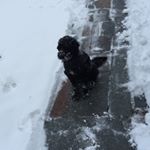 Profile Picture of Eileen Bradley (@eabradley66) on Instagram