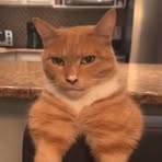 Profile Picture of Nadeem Alexander (@nadeem.alexander.715598) on Facebook