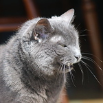 Profile Picture of Jason Smith (@jsmith1006) on Flickr