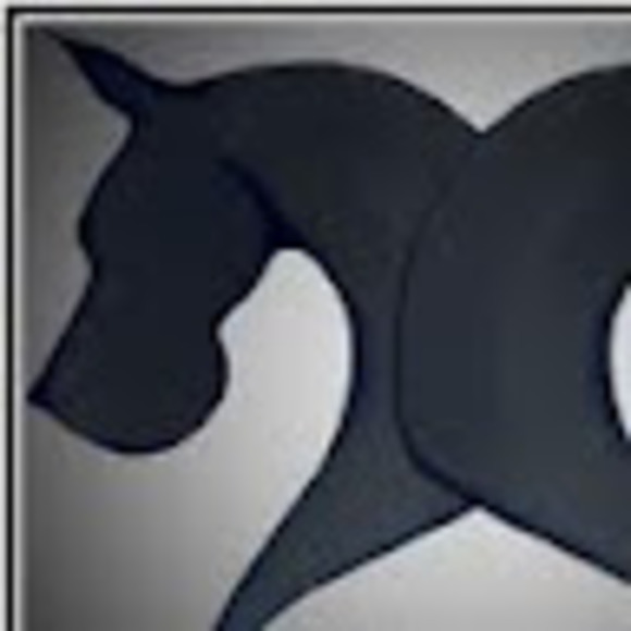 Profile Picture of Tanna Halphen (@tannahalphen) on Poshmark