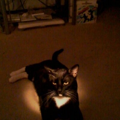 Profile Picture of Candice Roberts (@CandieAppleRead) on Twitter