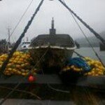 Profile Picture of Brian McInerney (@bmcinerney2) on Instagram