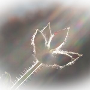 Profile Picture of Jaffar Sadiq (@jaffar.sadiq.125) on Myspace