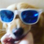 Profile Picture of joseph carlucci (@jeak755) on Instagram