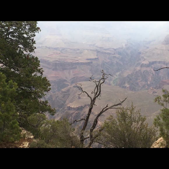 Profile Picture of Terry Dillenburg (@terrydillenburg) on Poshmark