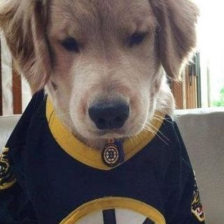 Profile Picture of Clint Briscoe (@clint.briscoe.9) on Facebook