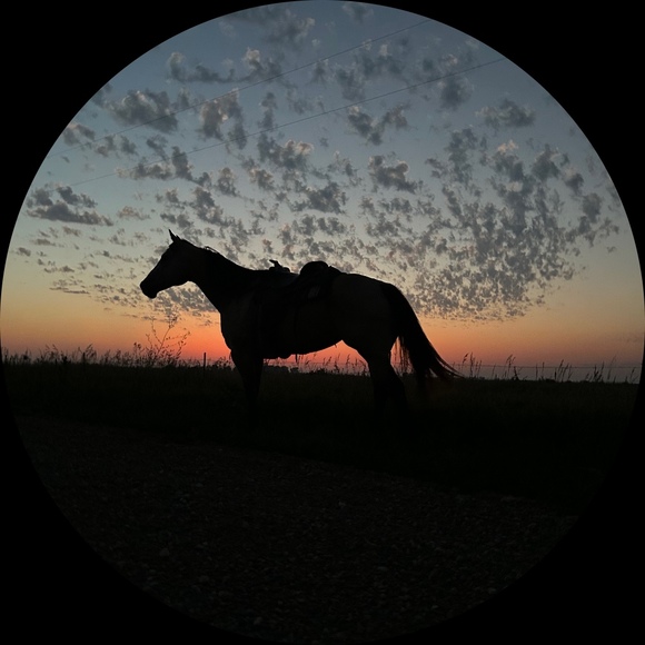 Profile Picture of Erica Felsheim (@eastriverrustic) on Poshmark