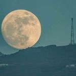 Profile Picture of Amany Nofal (@amany_nofal94) on Instagram