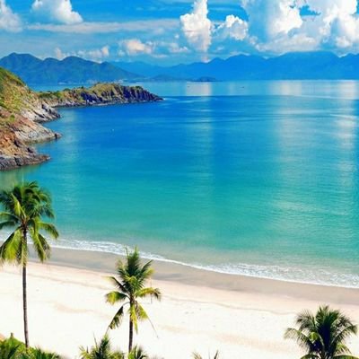 Profile Picture of Lisa Harmon Hodge (@LisaHarmonHodg1) on Twitter