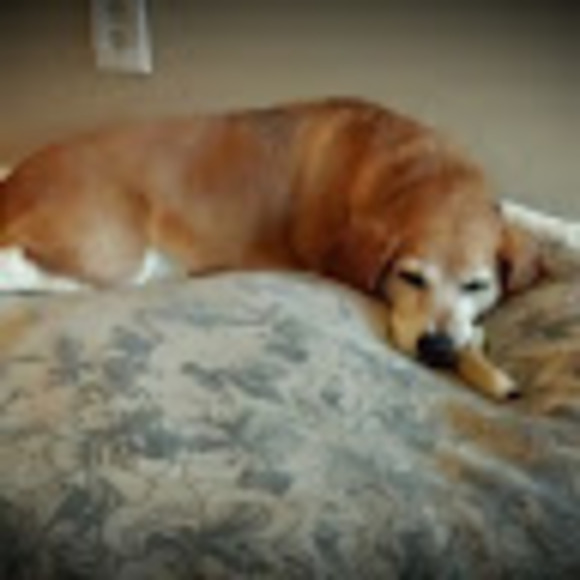 Profile Picture of Cheyla G (@cheylag546) on Poshmark