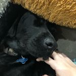 Profile Picture of Hannah shick (@hannahshick7) on Instagram