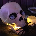 Profile Picture of Mark Cakebread (@mark.cakebread.9) on Facebook