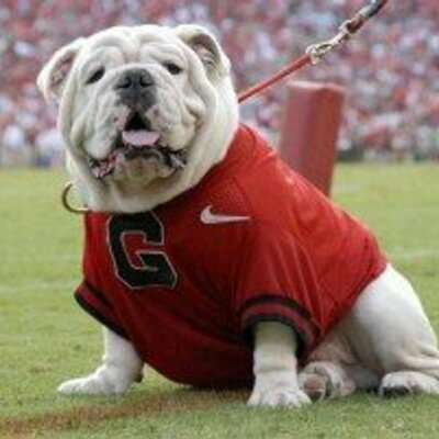 Profile Picture of Joel Barrandey (@jbarrandey21) on Twitter